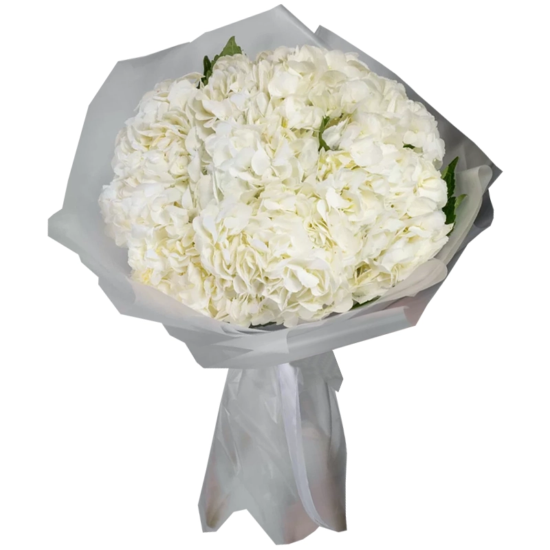 Букет из 7 белых гортензий
