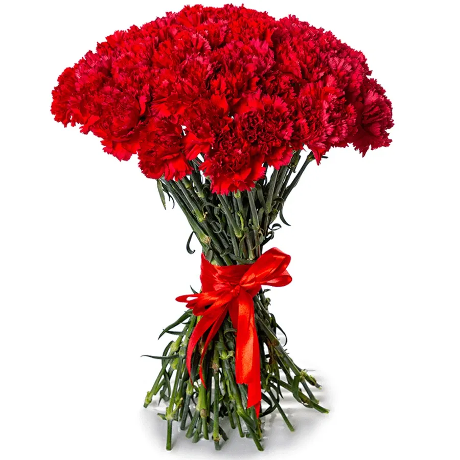 Гвоздики красные